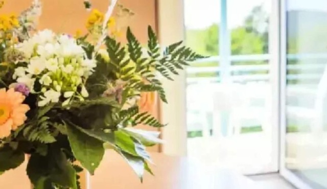 Camping Les Fées du Lac - Cottage