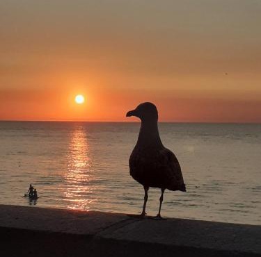 Camping les falaises de Toussaint