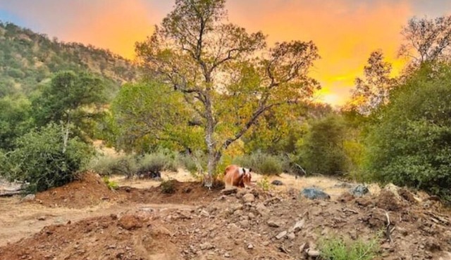 Camping near Sequoia Kings Canyon National Park #7