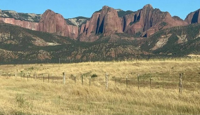 Camping Nirvana: Slice of Heaven