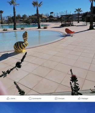 Camping sable du midi 4 etoiles