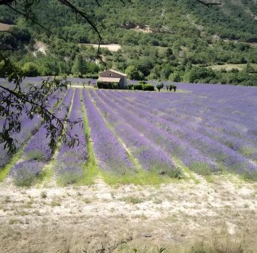 Camping Sainte-Jalle