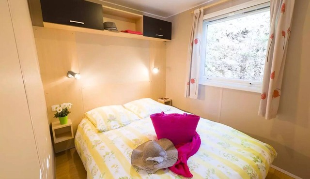 CAMPING THE FORET * - Mobil home Comfort Super Titania - TV 5 persons