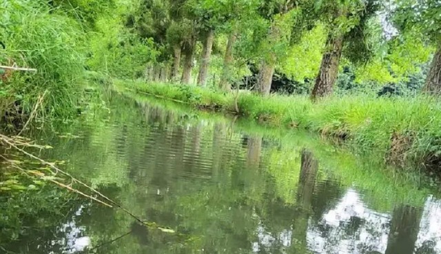 CAMPING THE GUE * - Mobil home 26 m2 - 2 bedrooms 4/6 people 6 people