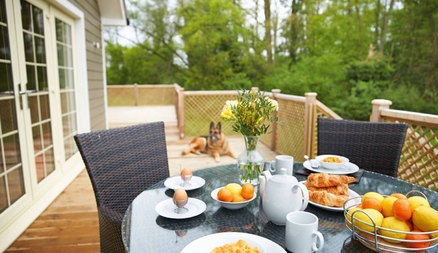 Campion Lodge holiday cottage is located near Colchester and set in some amazing natural beauty.