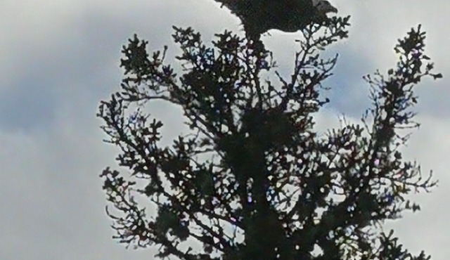 Campobello Island Vocational Retreats & Cottage Living