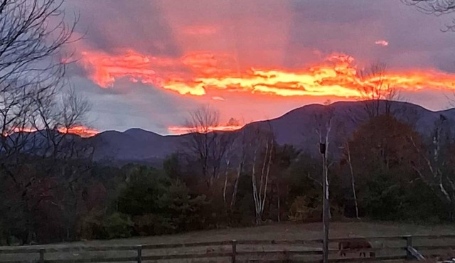 Campsite 1. A charming campground in Wadhams perfect for your outdoor getaway.