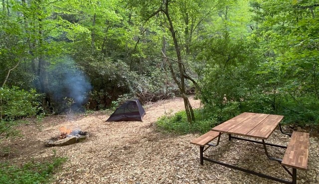 Campsite 1 - Creekside on 38 acres -biking and hiking trails