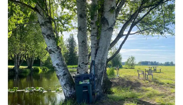 CAMPSITE 2 Cottonwood pond CAMPSITE on JuneBudFarms