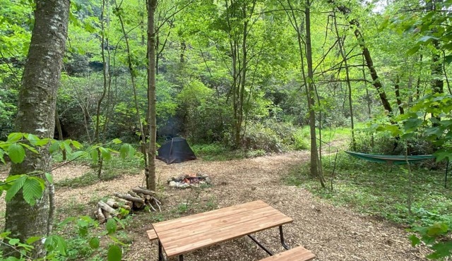 Campsite 2 - Creekside on 38 acres- biking and hiking trails