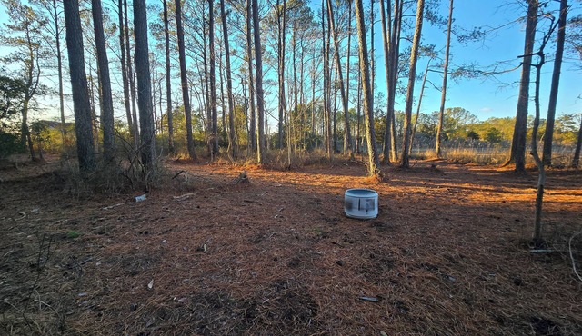 Campsite #3 At Blanchard Farm