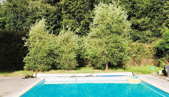 Campsite 5 min from Carhaix. Vieilles Charrues. shuttle and swimming pool included