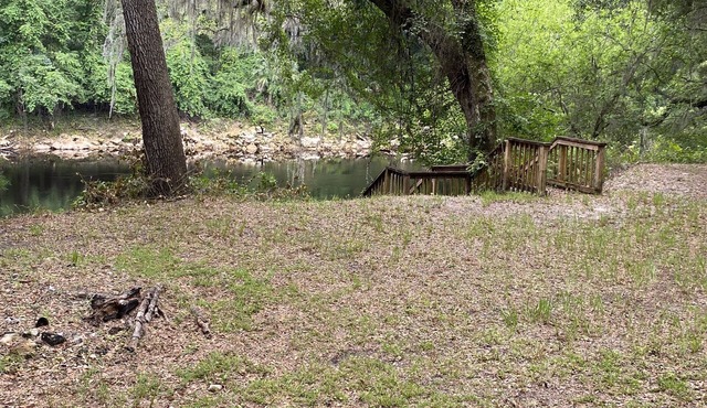 Campsite is locate on the suwannee river. Has power, water and RV hook up!