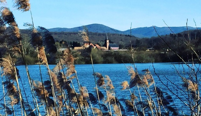 Campsite L'Etang des Forges* - Mobile home Declik 4 rooms 6 people