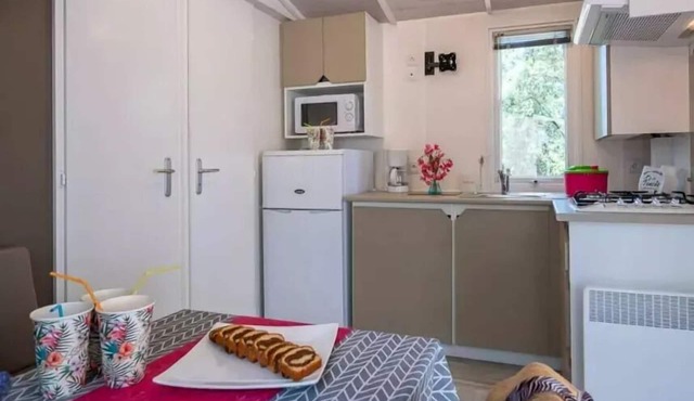 Campsite La Pinède in Provence * - Mobile Home Aneth Plus 3 Rooms 4 People Air Conditioning + TV
