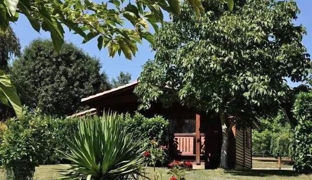 Campsite Midi Pyrenees * - Chalet PMR - suitable for people with reduced mobility 4 people