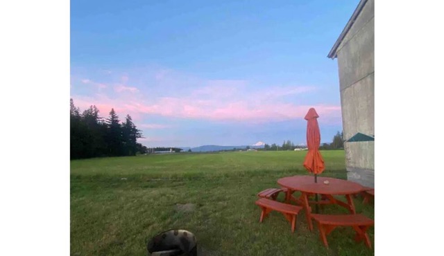 CAMPSITE Mourning Dove at June Bud Farms