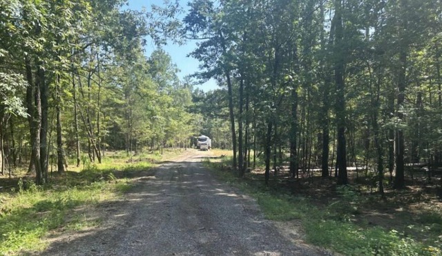 Campsite out of Starkville Mississippi. Great for MSU Games and Activities.