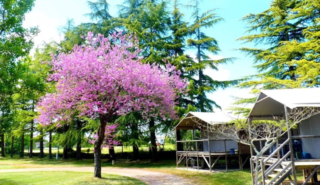Campsite Quercy Vacances* - 3-room cabin on stilts for 4/6 people