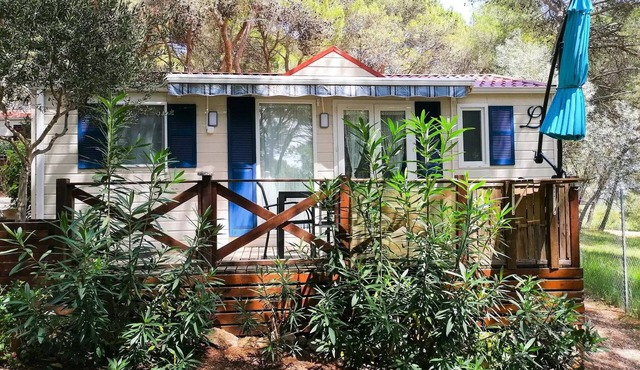 Campsite Residential La Pinède * - Savanah COMFORT -2 bedrooms 30m2- *Clim, terrace, TV* 4 persons