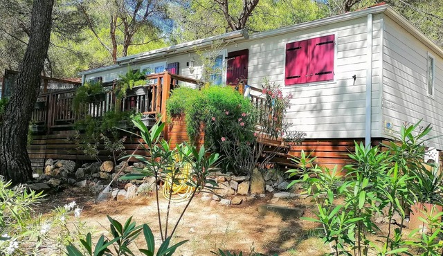 Campsite Residential La Pinède * - Madison PREMIUM-2 bedrooms 40m2- *Clim, terrace, TV* 6 persons