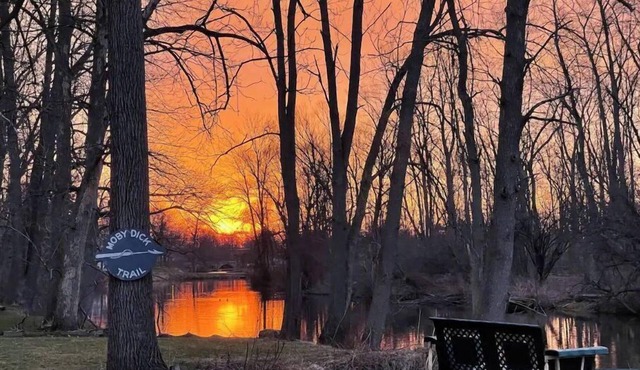 Canalside Tranquility