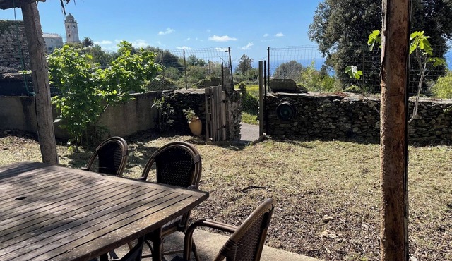 CANARY APARTMENT WITH GARDEN. Between sea and mountains. Pets welcome!