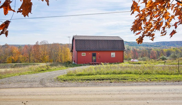 Canaseraga 'Malarkey' Home - 5 Mi to Skiing!