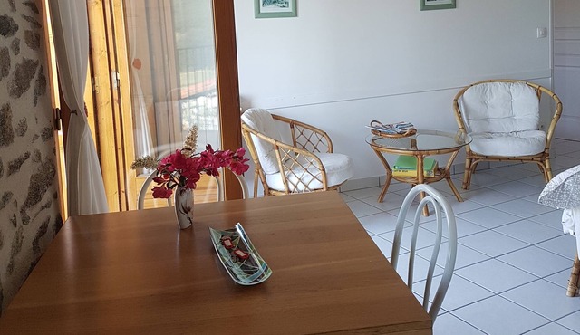 canigou apartment with view