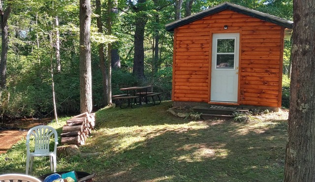 Cannabis Cabin 2 (with extras)