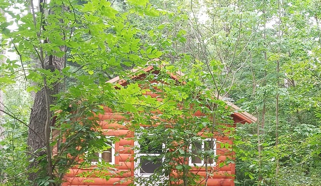 Cannabis Creek Cabin (with extras)