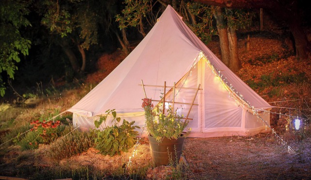 Cannabis Farm Glamping Retreat: Near Willow Creek w/Farm Meals, Firepit & Kayaks