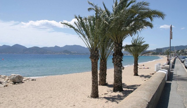 Cannes, 2 rooms Furnished 3 stars 10 mn from the Palais and the beach