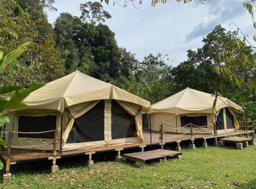 Canopy Villa Glamping Park