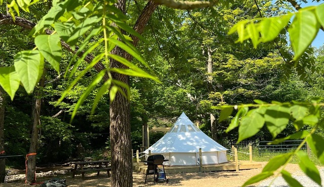 Canvas Bell Tent on Working Farm in Historic Laurel Highlands
