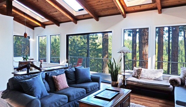 Canyon View Cabin in the Redwoods