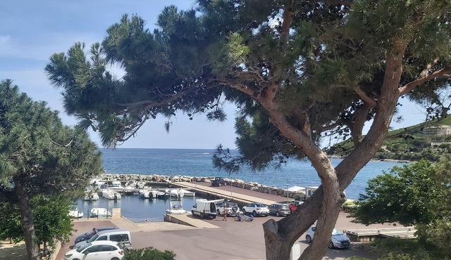 Cap Corse Santa severa Ground floor seaside garden