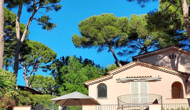 Cap D'Antibes sea, swimming pool, 2 large terraces, nature and pines