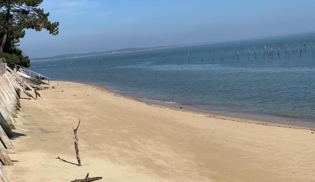 CAP FERRET 44 HA (ref 150)