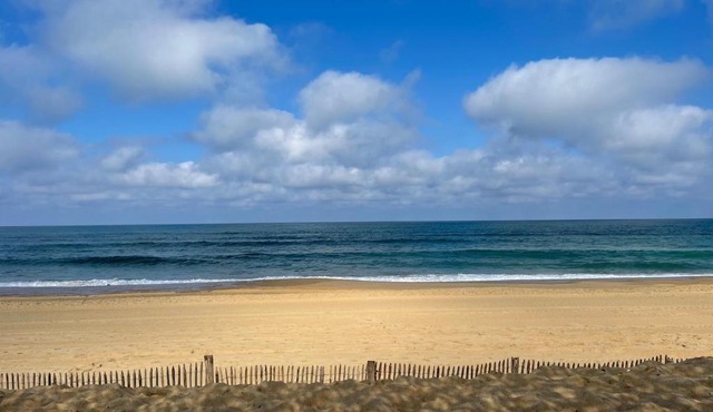 CAP FERRET 44HA (ref 153)