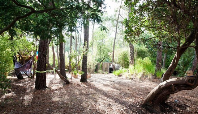 CAP-FERRET POINTE (Réf 170)