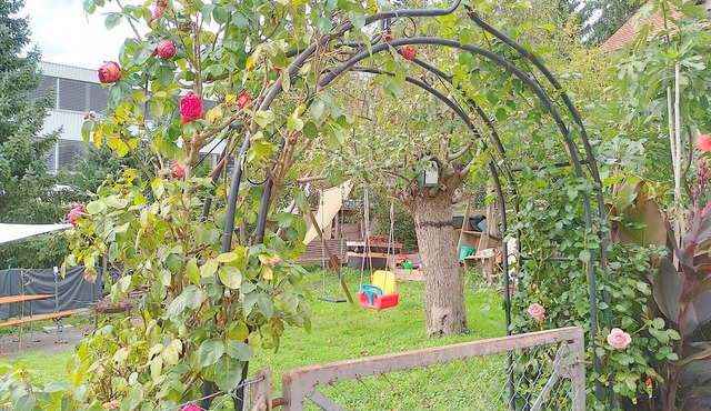 cape Diemntop destination for recreation or business