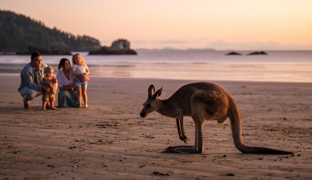 Cape Hillsborough Nature Tourist Park