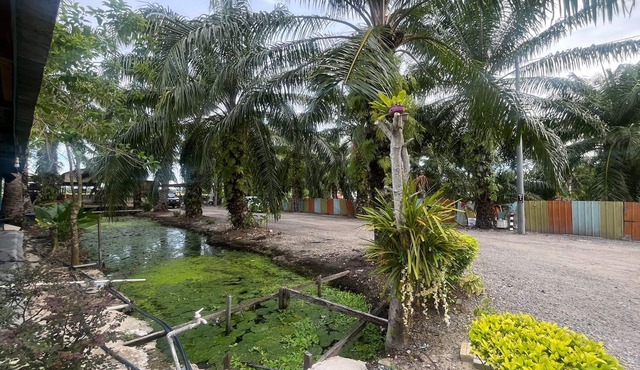 Capital O 91206 Homestay Pelangi Ban