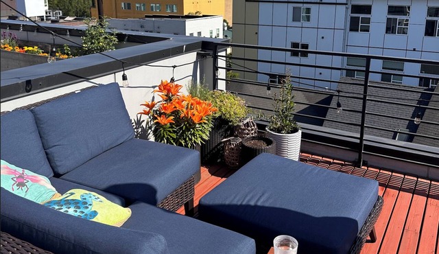 Capitol Hill convenience, rooftop Rainier views, living room w 25 ft ceilings