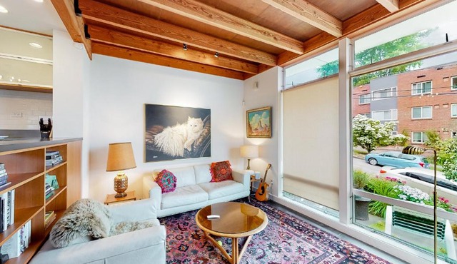 Capitol Hill Kitty Corner