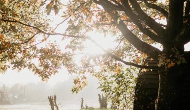 Caplor Glamping and Lodges