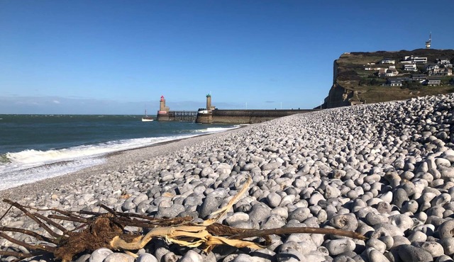 Captain YOO - Régate - Pour Sentir les Embruns vue sur Port