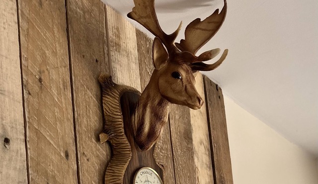 Captivating 1-Bed Apartment in Hereford