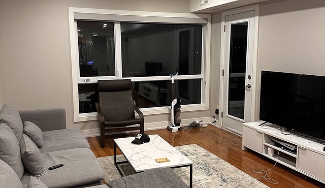 Captivating Three-Bedroom Apartment with Spectacular Windowsnn